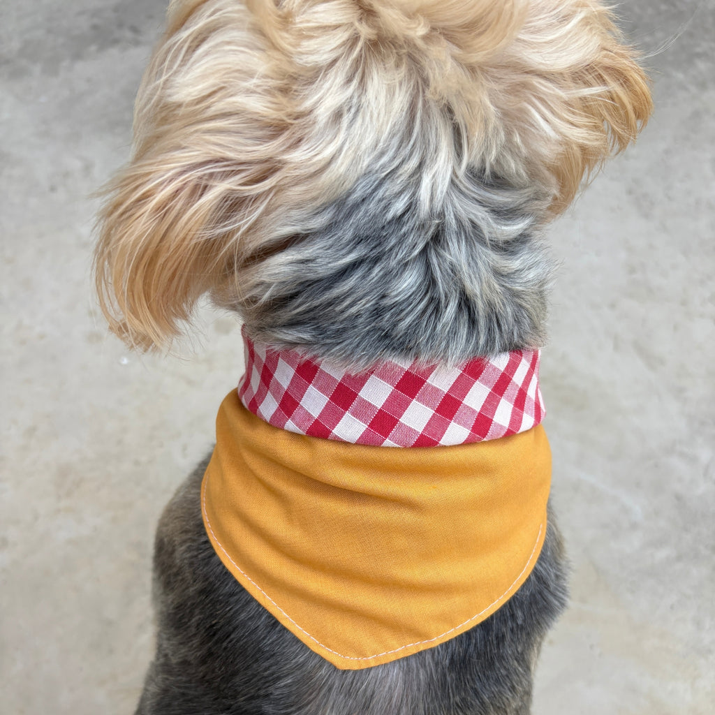 Bandana Paco vichy