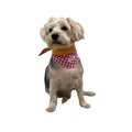 Bandana Paco vichy