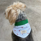Bandana Paco cerises