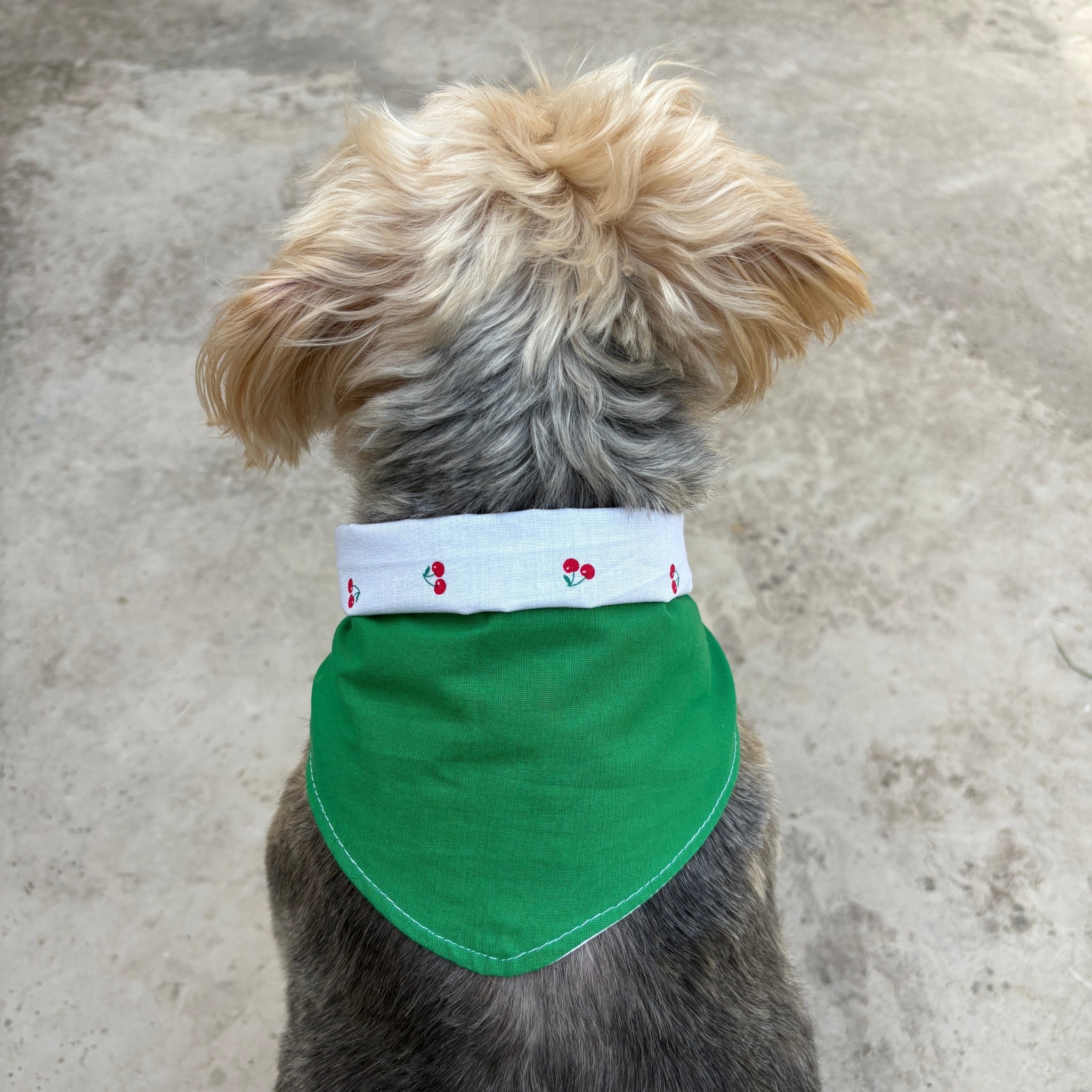 Bandana Paco cerises