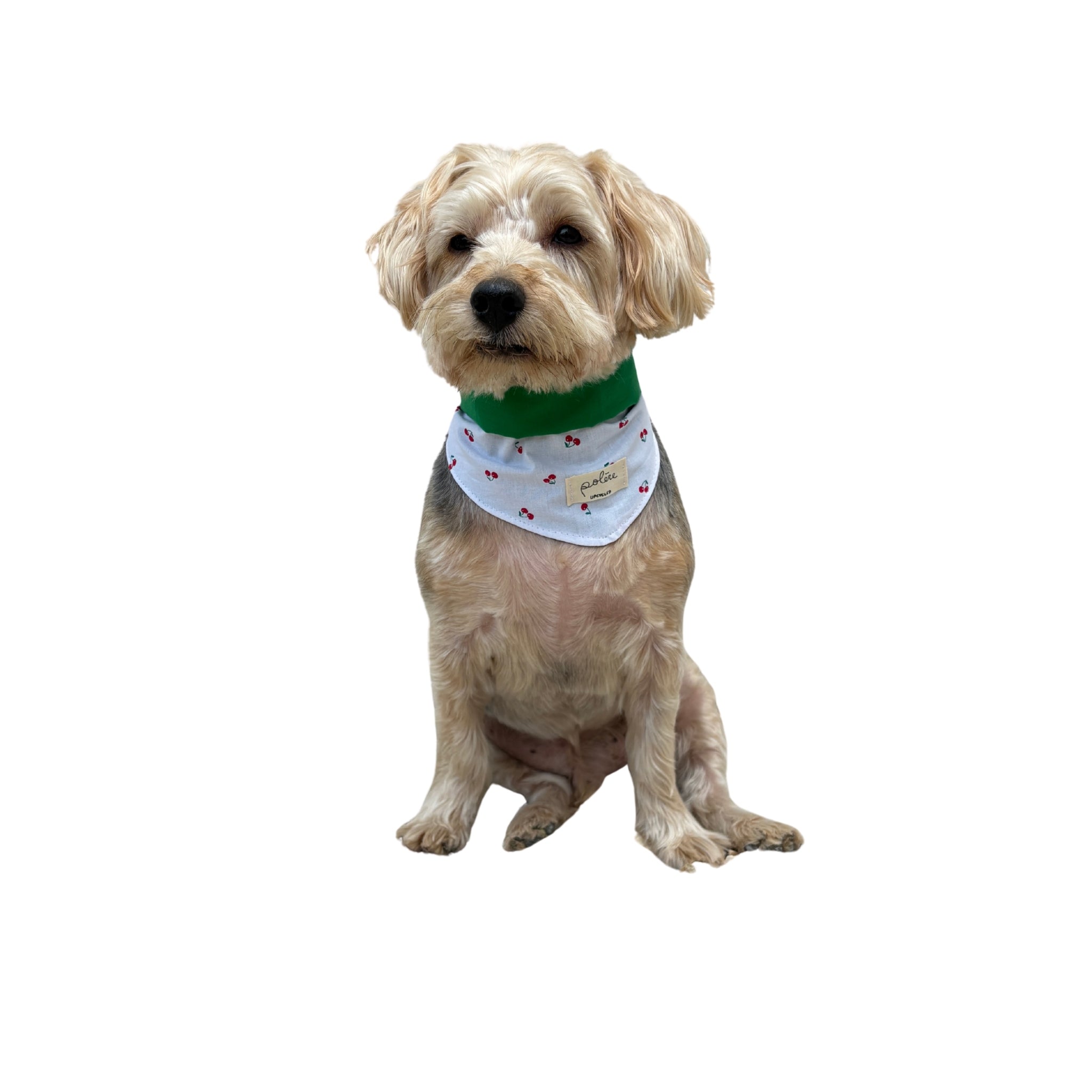 Bandana Paco cerises