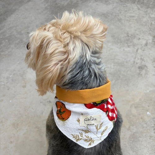 Bandana Paco légumes