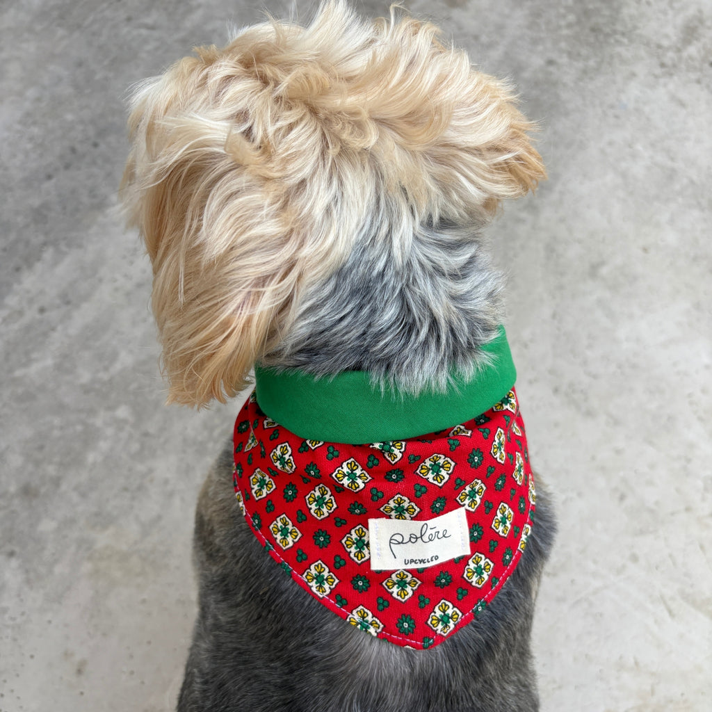 Bandana Paco provence