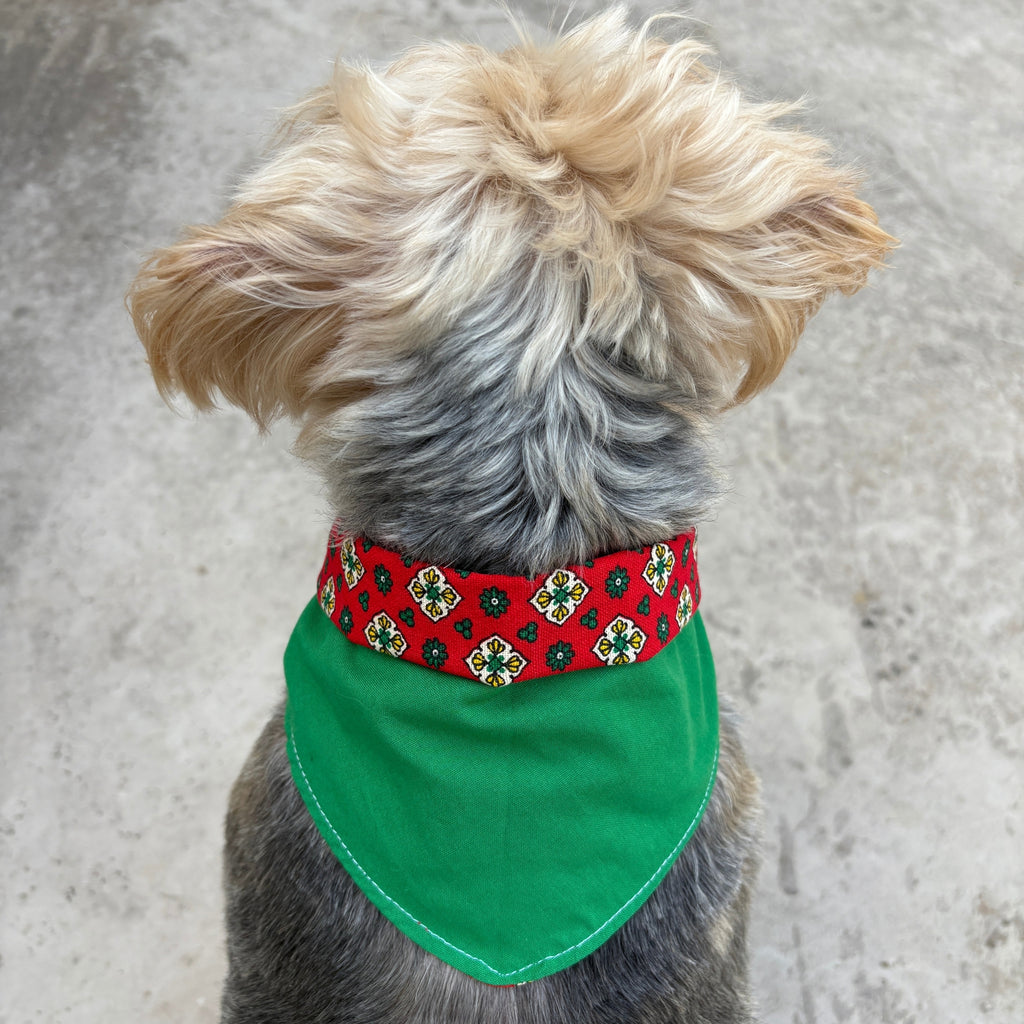 Bandana Paco provence