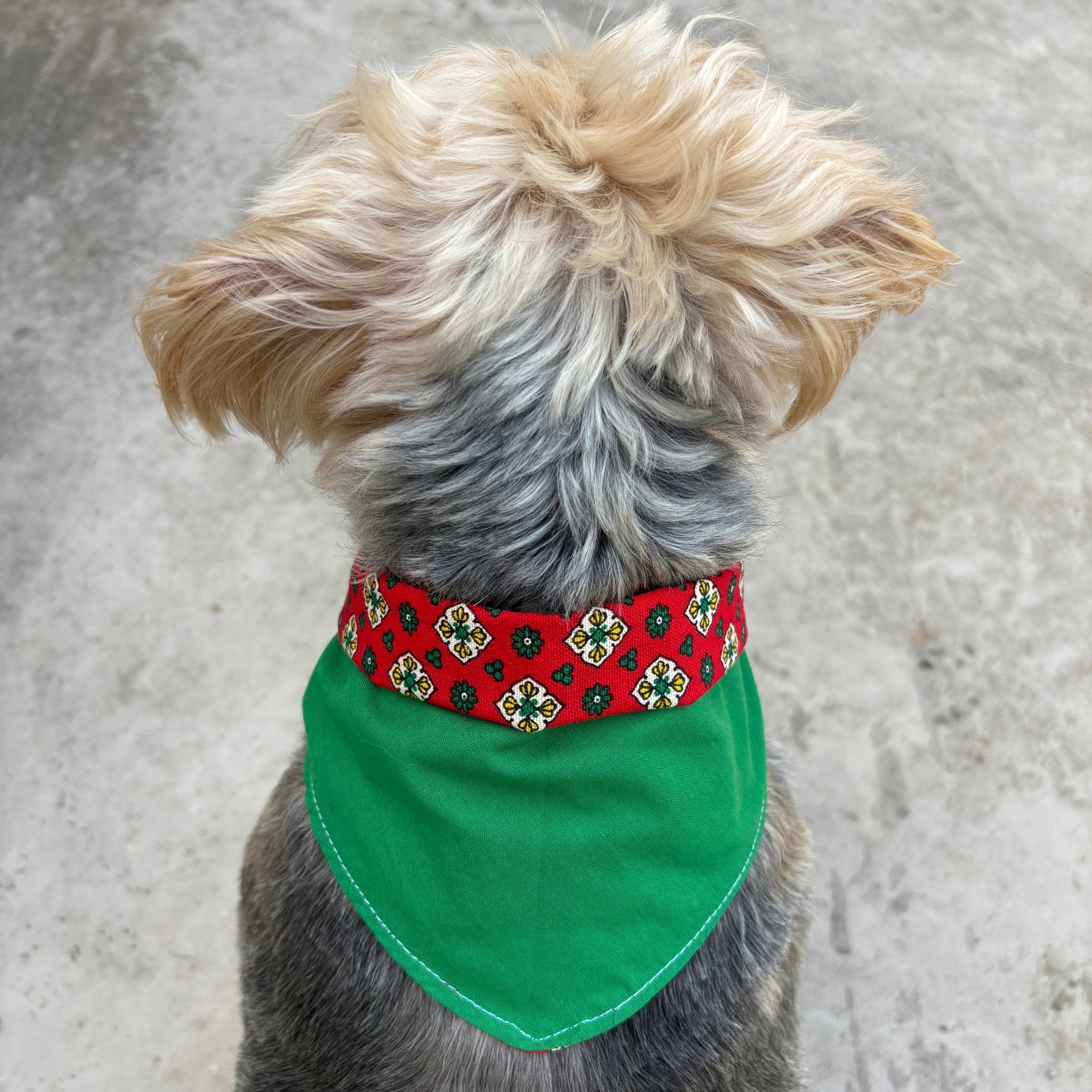 Bandana Paco provence