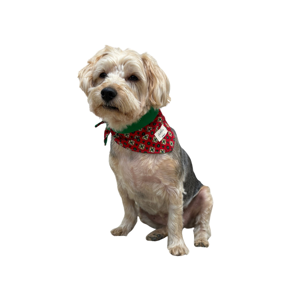 Bandana Paco provence