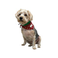 Bandana Paco provence