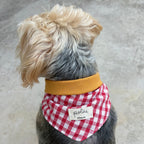 Bandana Paco vichy