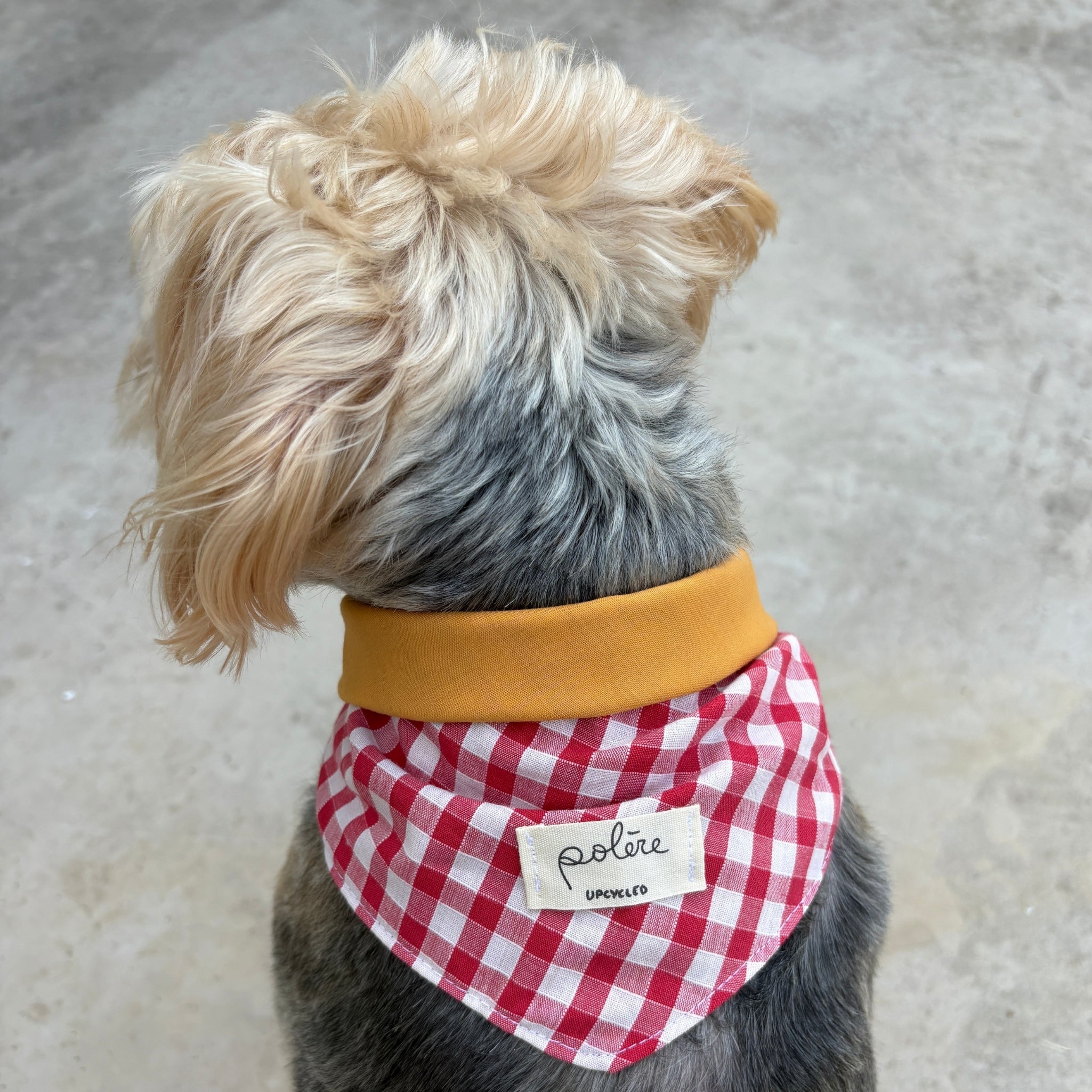Bandana Paco vichy