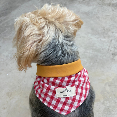 Bandana Paco vichy